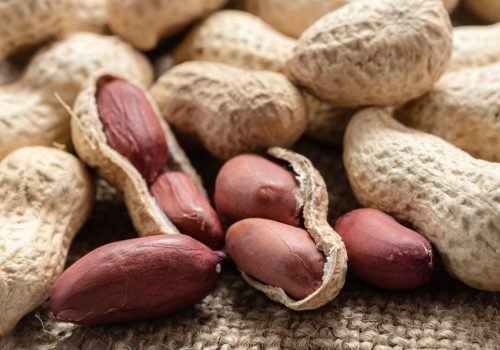 Peanut1