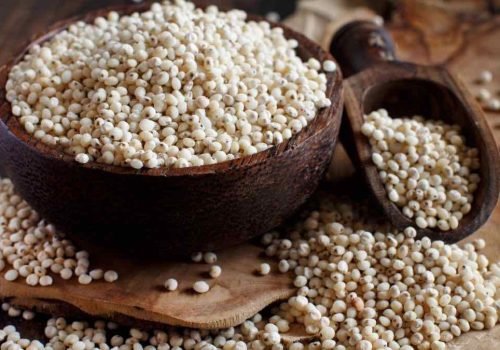 Sorghum